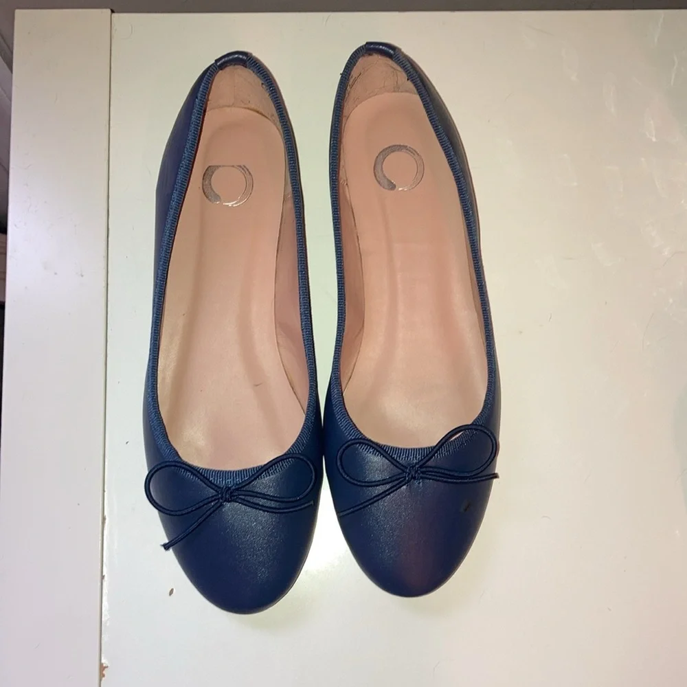 Classic Navy Ballet Flats - never worn